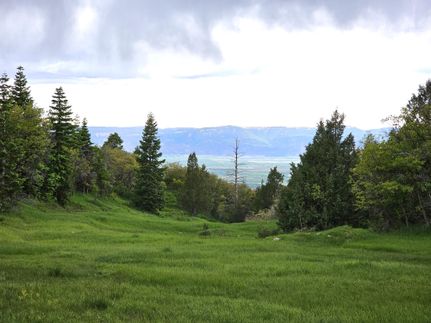 Timberland Property in Sanpete County, Utah