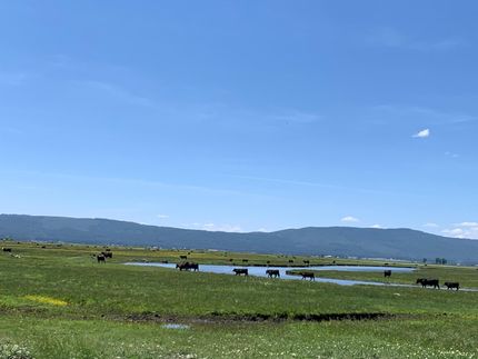 Farm and Ranch in Lassen County, California
