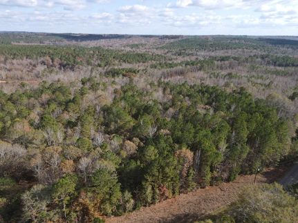 Undeveloped Land in Randolph County, Alabama