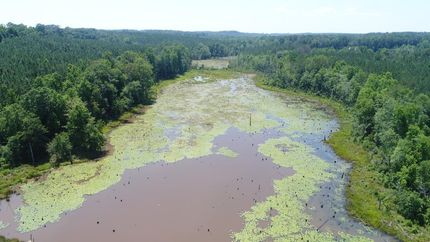Hunting Property in Crenshaw County, Alabama