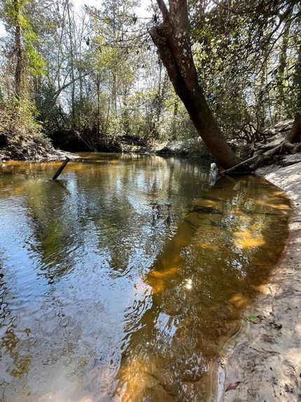 Land in Conecuh County, Alabama
