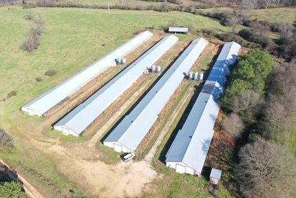 Undeveloped Land in Marion County, Alabama