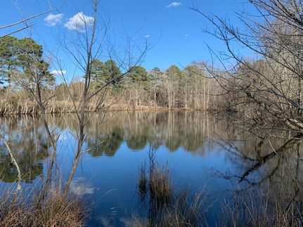 Undeveloped Land in Marshall County, Alabama