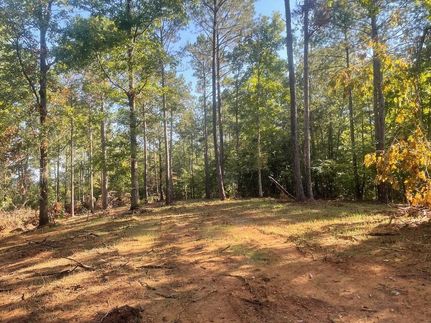 Undeveloped Land in Tallapoosa County, Alabama