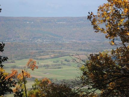Undeveloped Land in Marion County, Tennessee