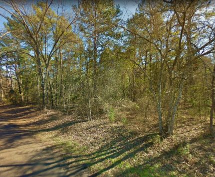 Undeveloped Land in Upshur County, Texas