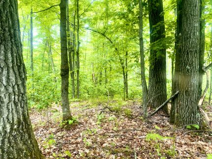 Homesite in Pine County, Minnesota
