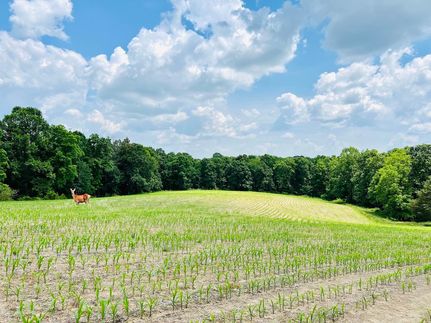 Farm and Ranch in Russell County, Kentucky