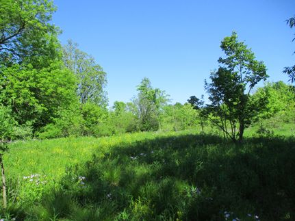 Undeveloped Land in Saint Croix County, Wisconsin