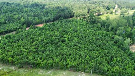 Farm and Ranch in Winston County, Mississippi
