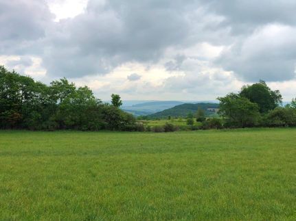 Farm and Ranch in Chenango County, New York