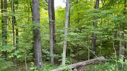 Recreational Property in Monroe County, Ohio