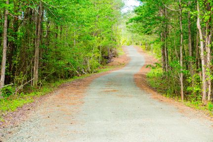 Undeveloped Land in San Augustine County, Texas