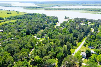 Undeveloped Land in Trinity County, Texas