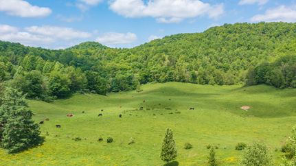 Land in Greenbrier County, West Virginia
