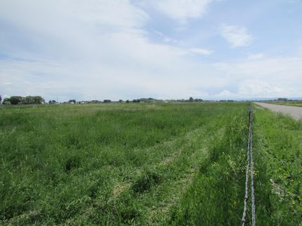 Homesite in Jefferson County, Idaho