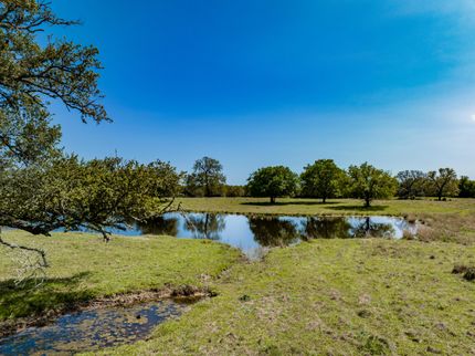 Undeveloped Land in Lee County, Texas