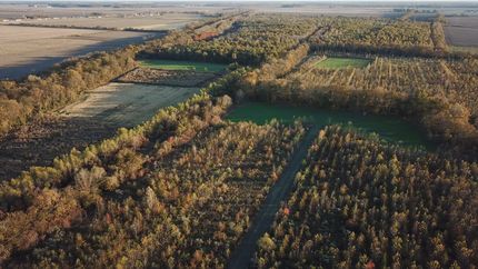 Farm and Ranch in Washington County, Mississippi