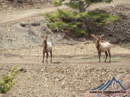 Hunting Property in Silver Bow County, Montana