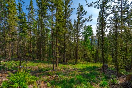 Undeveloped Land in Teller County, Colorado