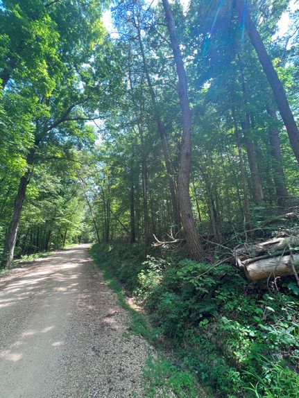 Recreational Property in Decatur County, Tennessee