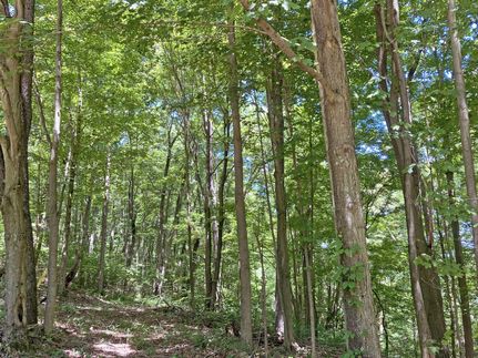 Timberland Property in Kanawha County, West Virginia