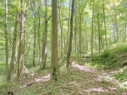 Timberland Property in Kanawha County, West Virginia
