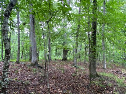Recreational Property in Bibb County, Alabama