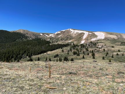 Timberland Property in Park County, Colorado