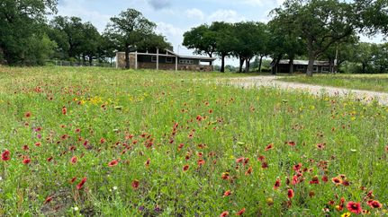 House in Stephens County, Texas