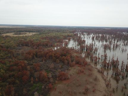 Lakefront Property in Franklin Parish, Louisiana