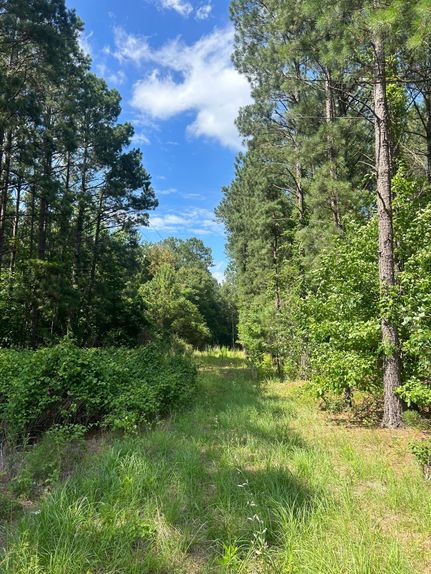 Land in Darlington County, South Carolina
