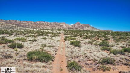 Farm and Ranch in Cochise County, Arizona