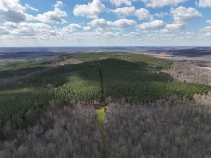Hunting Property in Livingston County, Kentucky