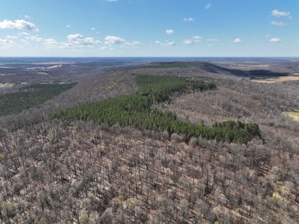 Recreational Property in Livingston County, Kentucky