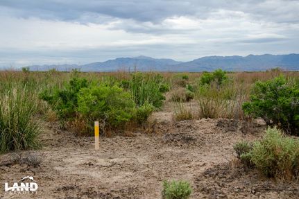 Undeveloped Land in Millard County, Utah