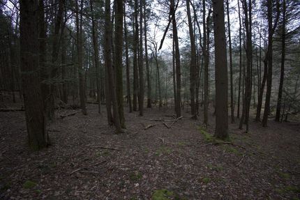 Lakefront Property in Sullivan County, New York