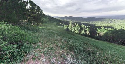 Undeveloped Land in Costilla County, Colorado