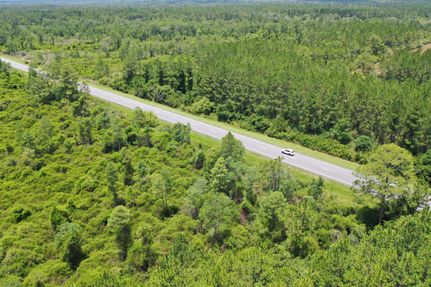 Farm and Ranch in Taylor County, Florida