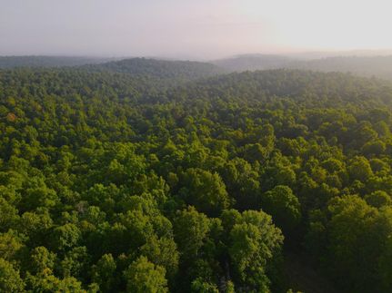 Undeveloped Land in Fulton County, Arkansas