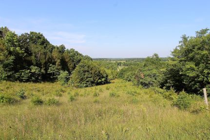 Timberland Property in Adams County, Ohio