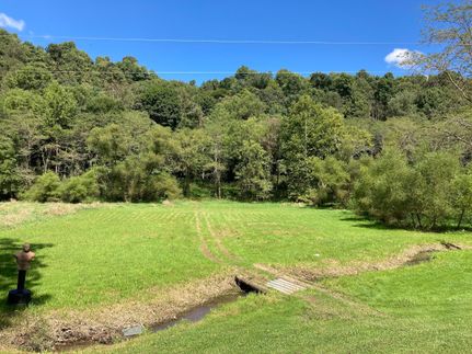 Timberland Property in Guernsey County, Ohio