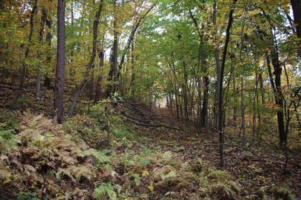 Hunting Property in Frederick County, Virginia