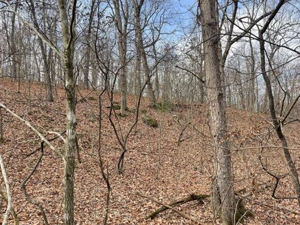 Recreational Property in Laclede County, Missouri