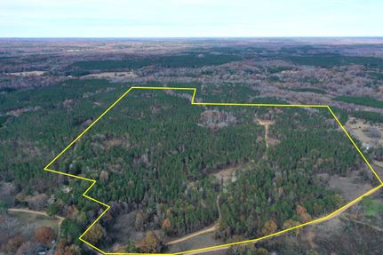 Timberland Property in Holmes County, Mississippi