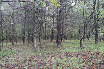 Lakefront Property in Patrick County, Virginia