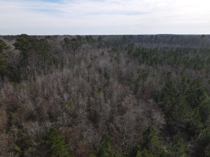 Farm and Ranch in Ashley County, Arkansas