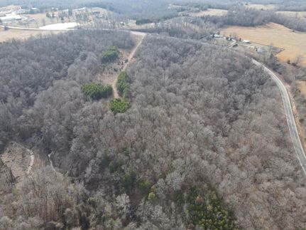 Timberland Property in Searcy County, Arkansas