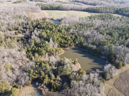 Hunting Property in Caswell County, North Carolina