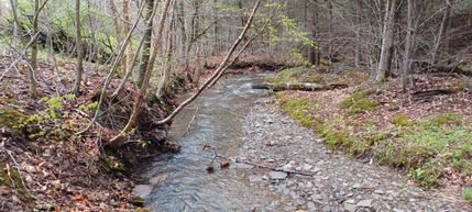 Hunting Property in Tioga County, Pennsylvania